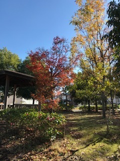 79.jpg